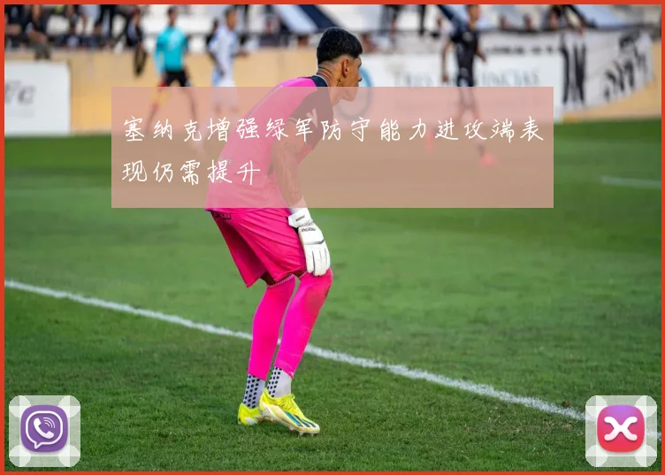 塞纳克增强绿军防守能力进攻端表现仍需提升